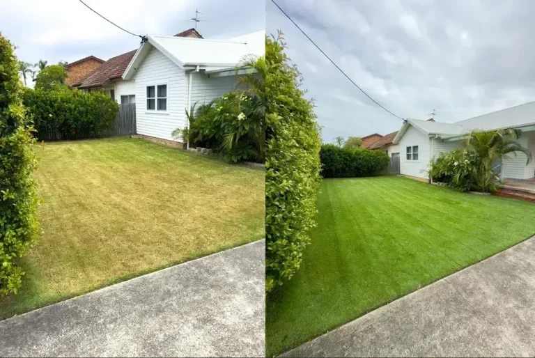 CG10_optimized_200-1920w