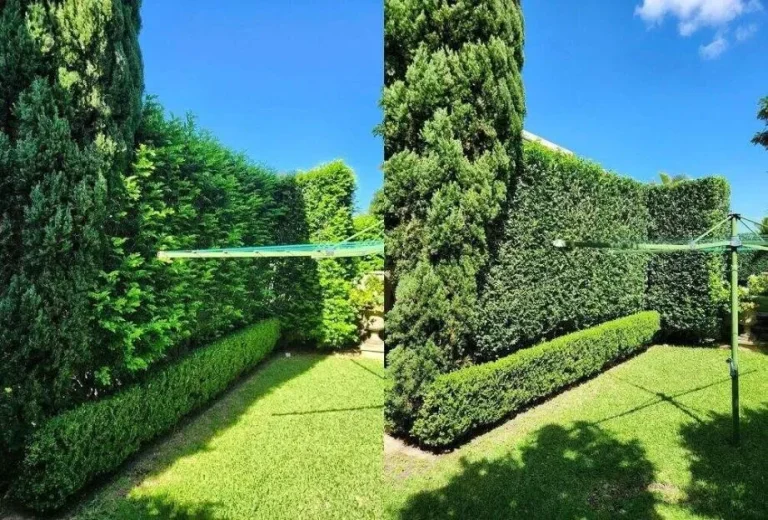 CG12_optimized_200+(1)-1920w