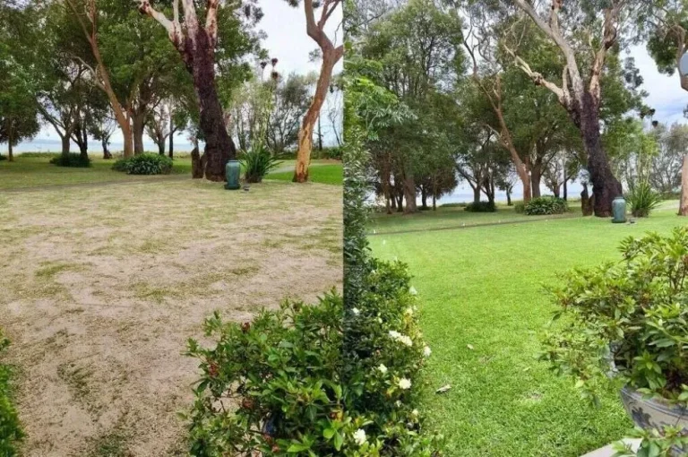 CG3_optimized_200+(1)-1920w