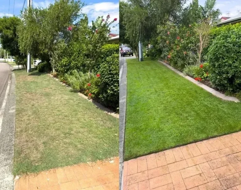 CG5_optimized_200+(1)-1920w