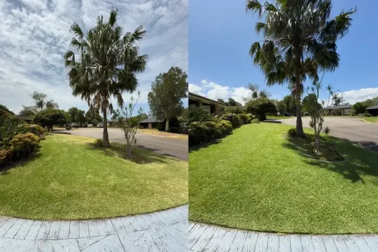 CG7_optimized_200-1920w